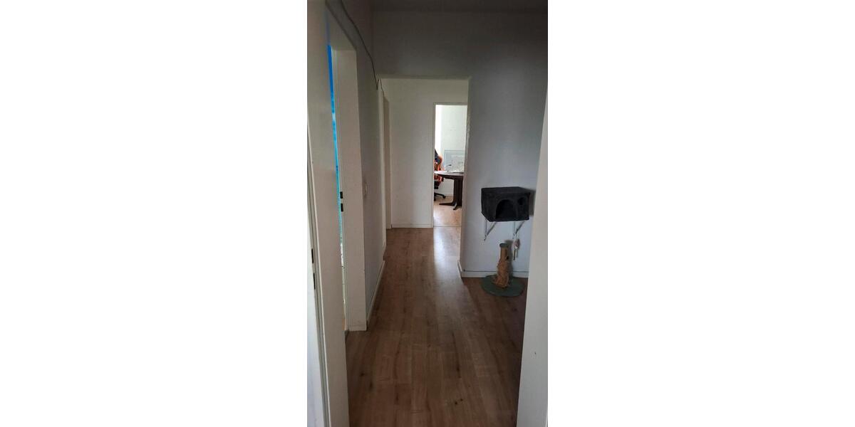 Etagenwohnung Steinfurt - 1 Zimmer, 39 m&sup2;, 679&euro; | Angebot:26640755
