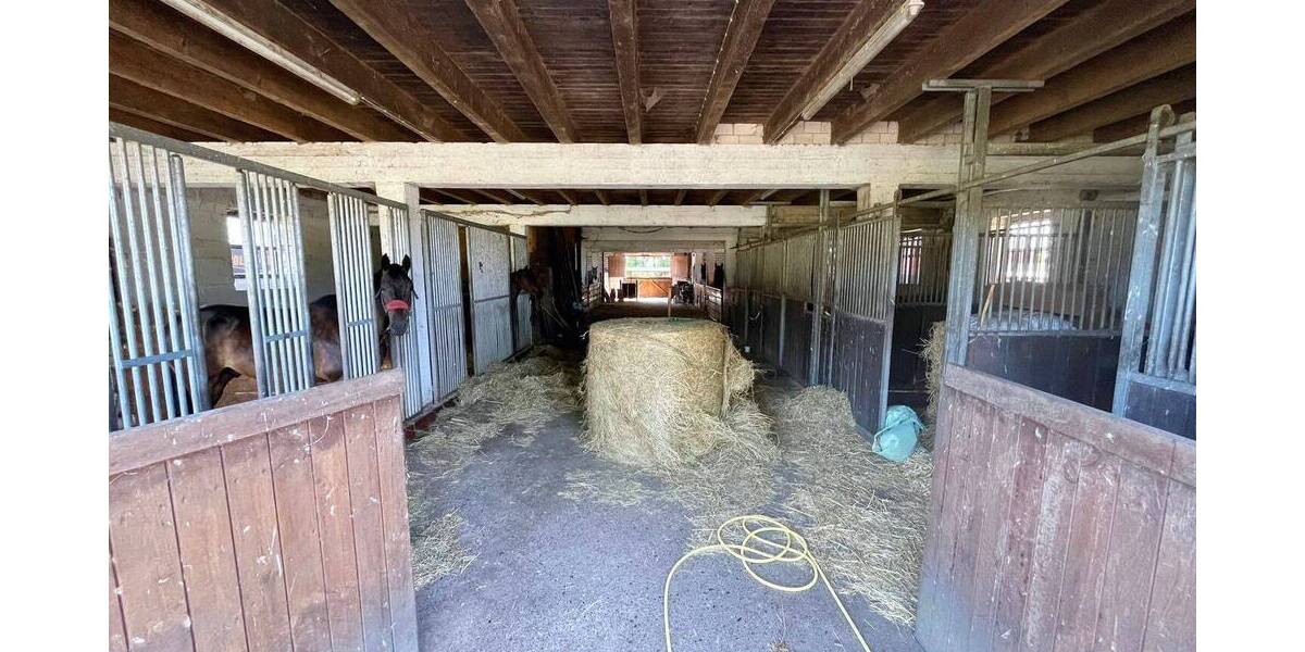 Mehrfamilienhaus, Wohnhaus Ladbergen - 649.000&euro; | Angebot:26015984