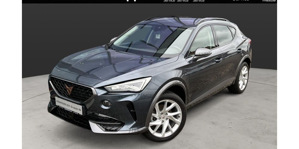 Cupra Formentor 20.373 km 24.990 &euro; Warendorf 48231