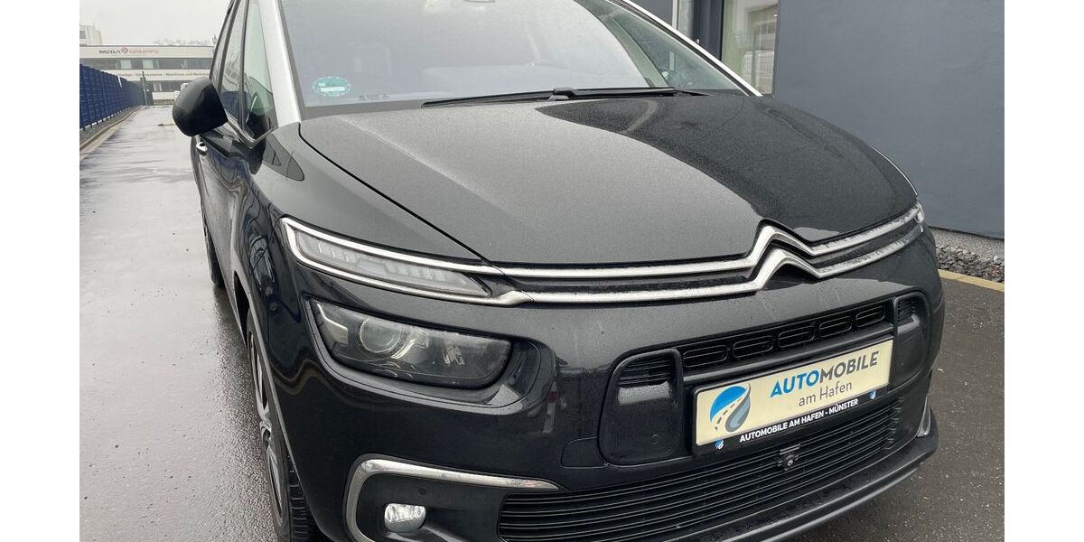 Citroen C4 145.000 km 12.490 &euro; Münster 48155