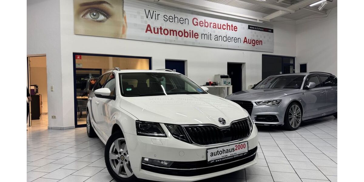Skoda Octavia 99.999 km 19.950 &euro; Ahlen 59229