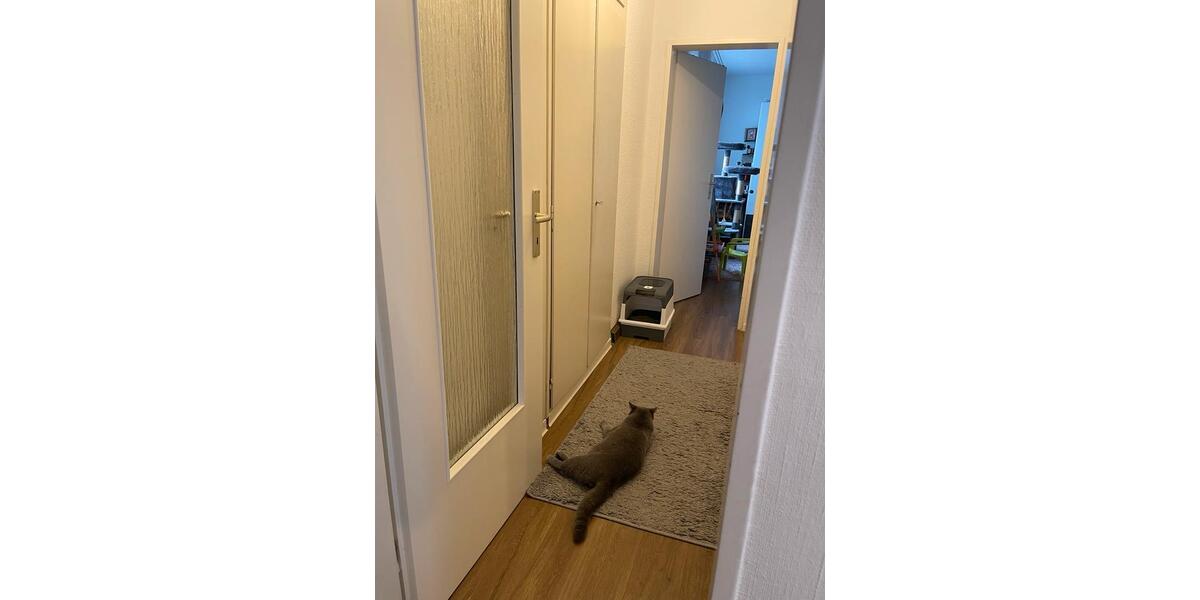 Etagenwohnung Münster Mitte-Süd - 3 Zimmer, 80 m&sup2;, 1.340&euro; | Angebot:25906924