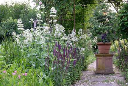 Grundstück Nottuln - 289.000&euro; | Angebot:25962380