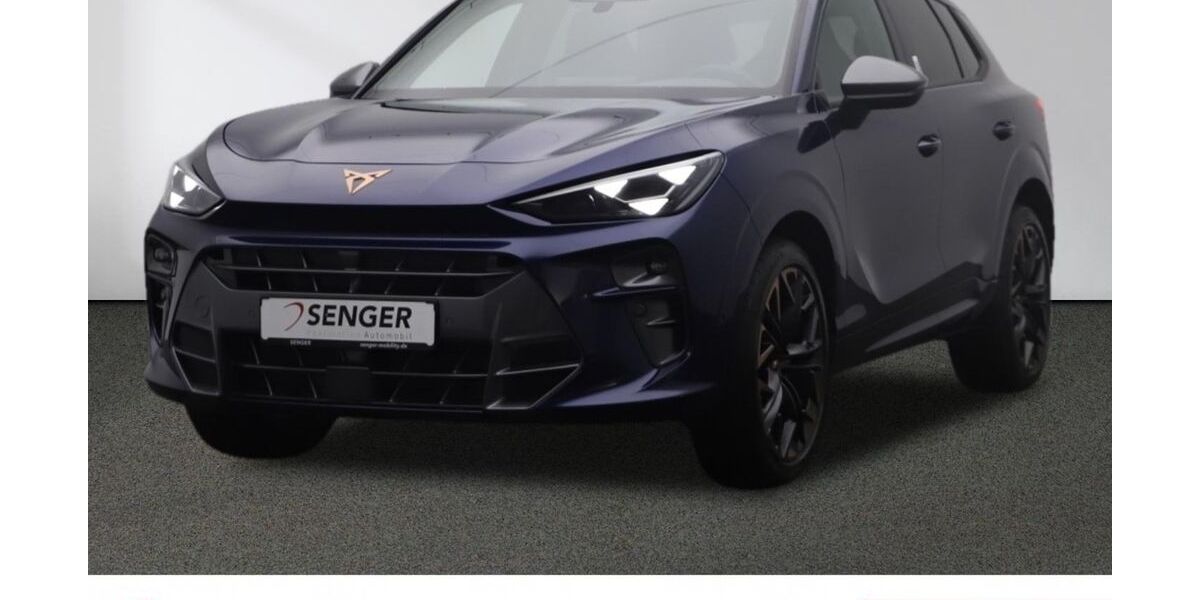 Cupra Terramar 8.000 km 43.980 &euro; Münster 48157