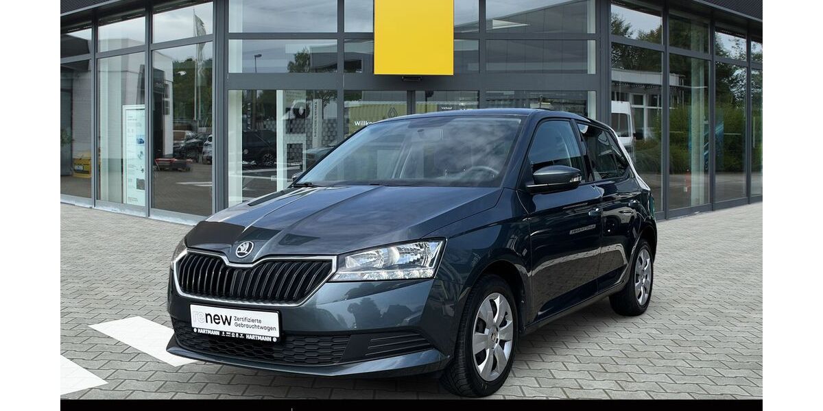 Skoda Fabia 103.500 km 8.990 &euro; Münster 48165