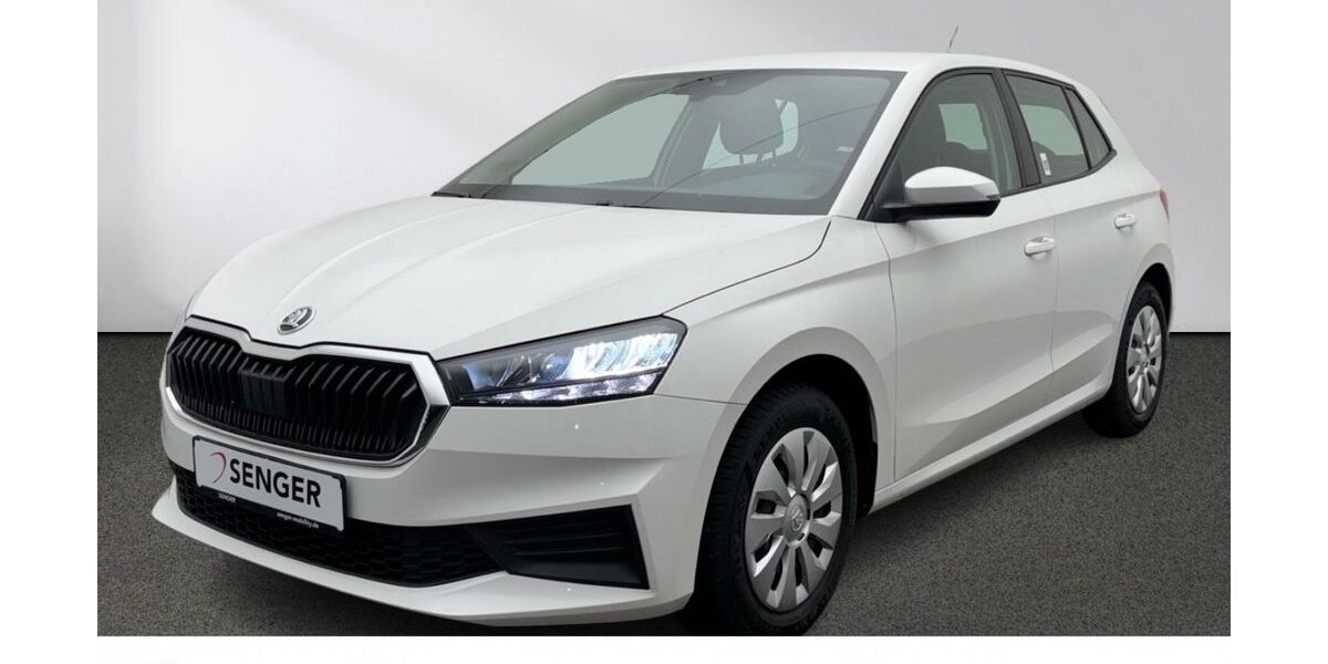 Skoda Fabia 21.671 km 13.880 &euro; Emsdetten 48282