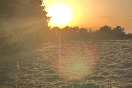 Haus Nottuln - 14 Zimmer, 438 m&sup2;, 1.149.000&euro; | Angebot:26058569