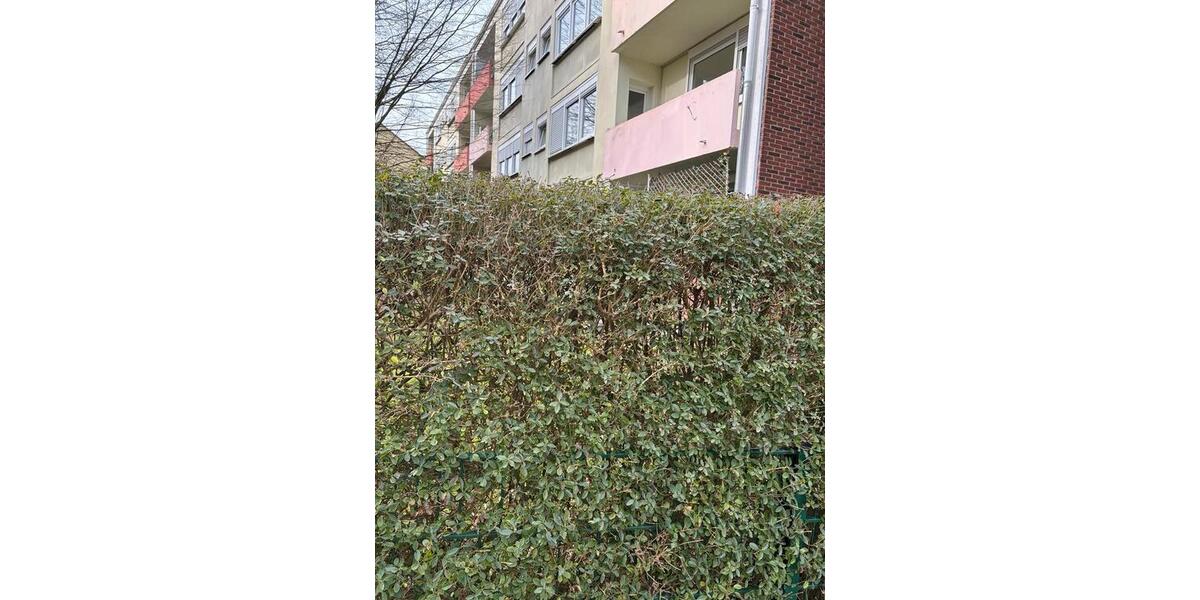 Etagenwohnung Steinfurt - 3 Zimmer, 74 m&sup2;, 150.000&euro; | Angebot:24661440