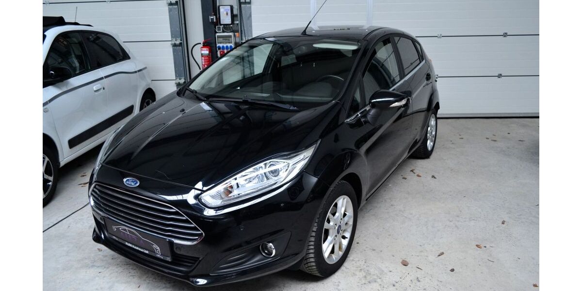 Ford Fiesta 91.000 km 7.800 &euro; Rosendahl 48720