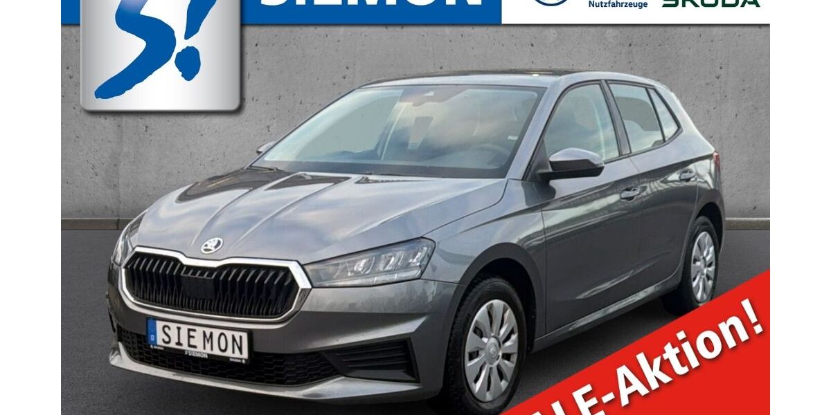 Skoda Fabia 53.152 km 13.690 &euro; Warendorf 48231