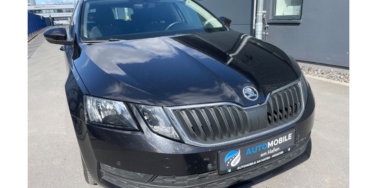 Skoda Octavia 200.000 km 9.490 &euro; Münster 48155