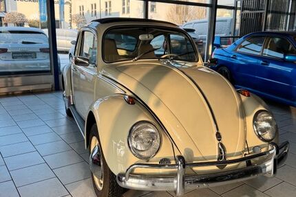 VW Käfer 15.324 km 16.899 &euro; Münster 48165