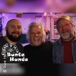 Bunte Hunde - Eine Nacht der Lieder