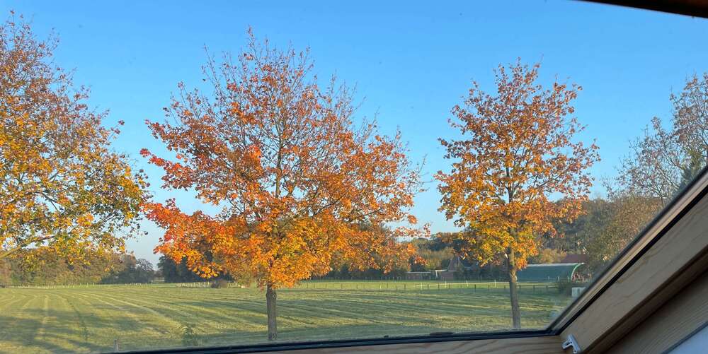 Etagenwohnung Münster Gievenbeck - 4 Zimmer, 134 m&sup2;, 1.150&euro; | Angebot:26089793