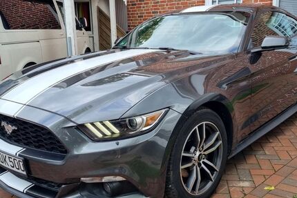 Ford Mustang 216.000 km 12.650 &euro; Ostbevern 48346