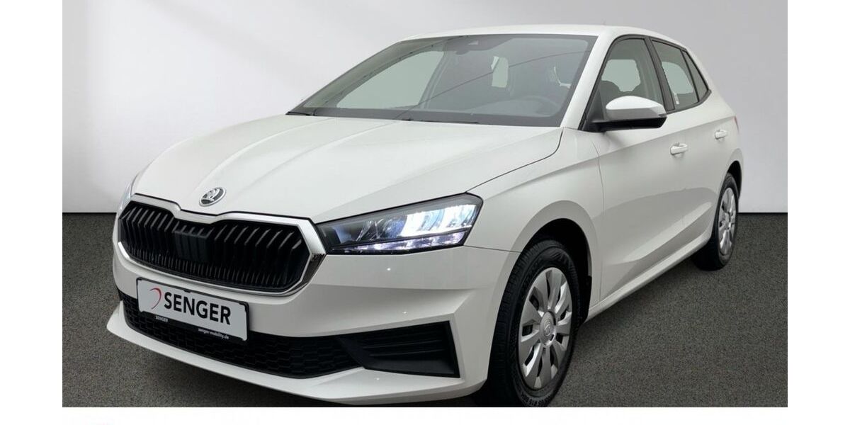 Skoda Fabia 20.036 km 14.880 &euro; Emsdetten 48282