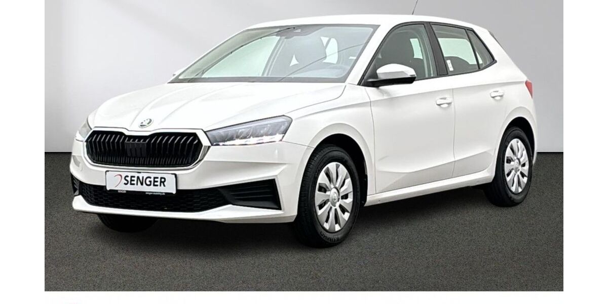 Skoda Fabia 21.490 km 14.880 &euro; Emsdetten 48282