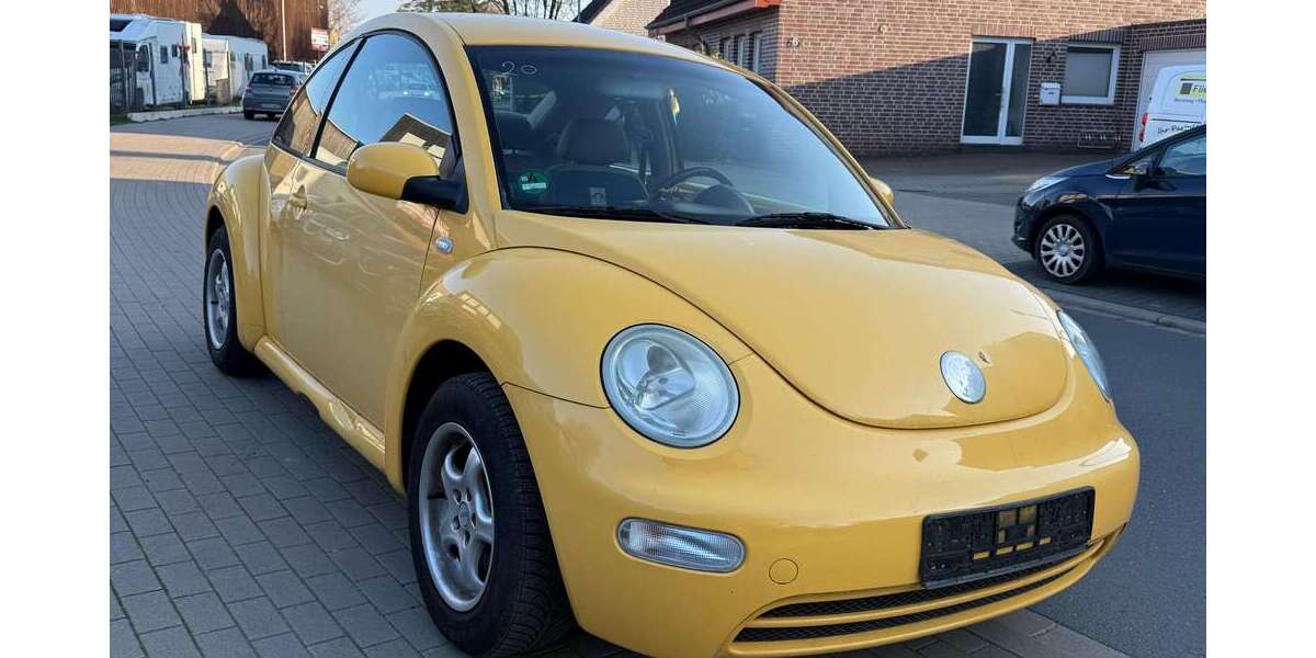VW New Beetle 184.809 km 1.800 &euro; Münster 48147