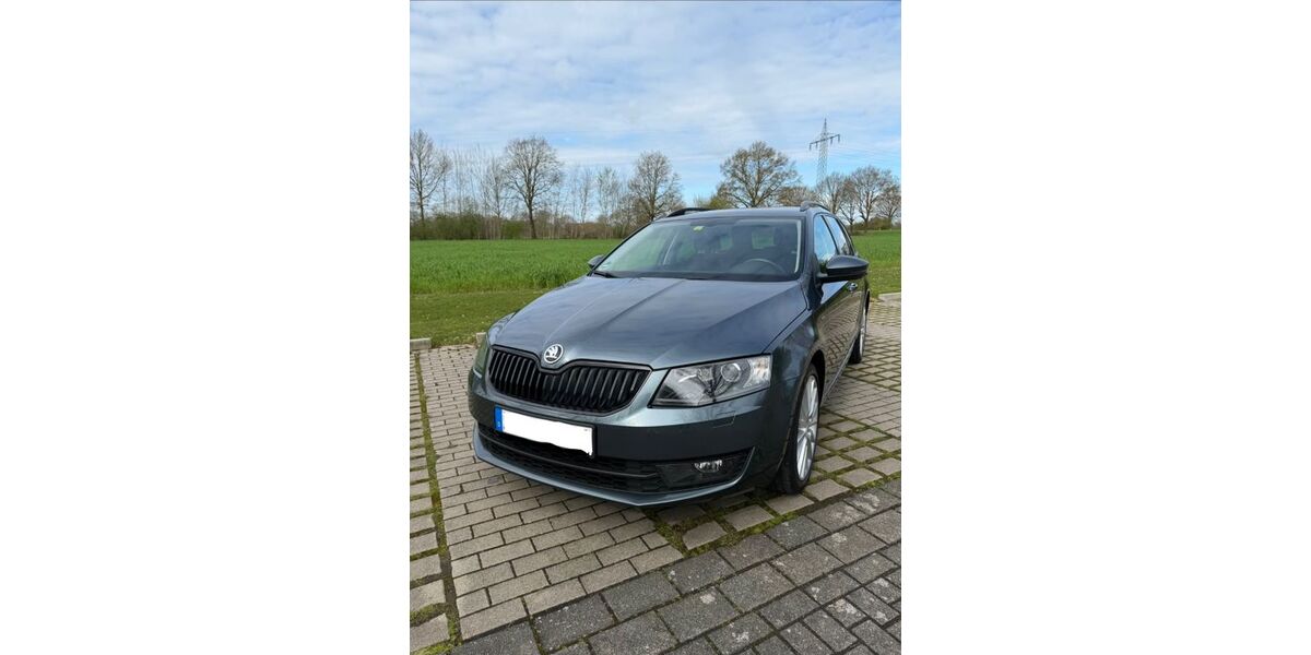 Skoda Octavia 135.300 km 14.200 &euro; Münster 48167