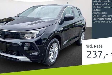Opel Grandland (X) 40.221 km 19.933 &euro; Dülmen 48249