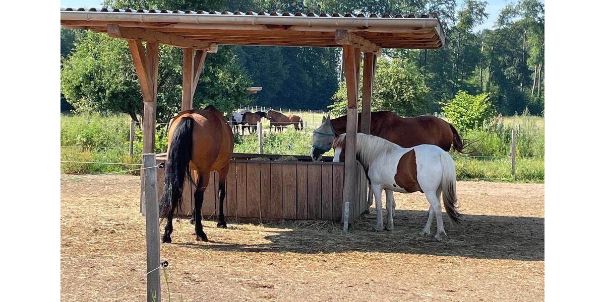 Maisonettenwohnung Rosendahl - 2.5 Zimmer, 150 m&sup2;, 1.350&euro; | Angebot:25868142