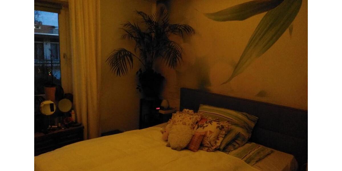 Etagenwohnung Münster Berg Fidel - 2 Zimmer, 55 m&sup2;, 169.000&euro; | Angebot:27219053