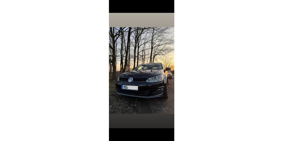 VW Golf 220.000 km 7.500 &euro; Münster 48159