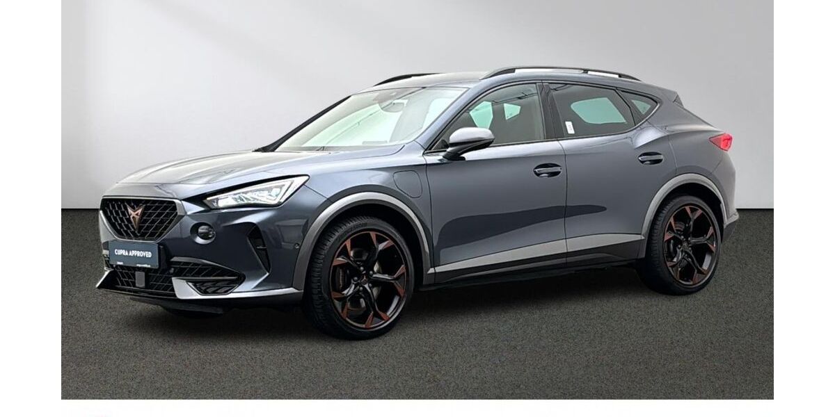 Cupra Formentor 53.169 km 25.480 &euro; Emsdetten 48282