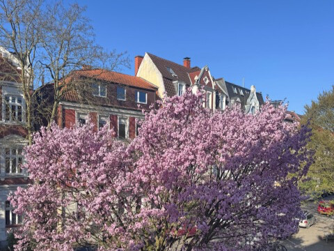 Modern wohnen. Stilvoll leben. Exklusiv saniert. - Etagenwohnung Münster Innenstadtring | Angebot:25723452