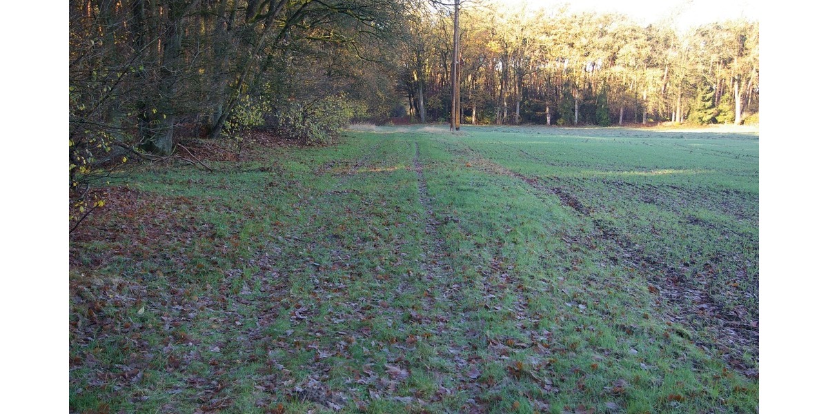 landwirtschaftliche Fläche in Füchtorf - Grundstück Sassenberg Füchtorf | Angebot:24922020