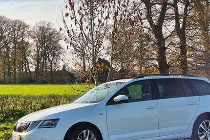 Skoda Octavia 133.500 km 13.700 &euro; Münster 48165