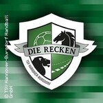 Premium Arrangement - TSV Hannover-Burgdorf - SG Flensburg-Handewitt
