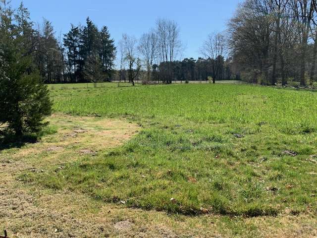 Einfamilienhaus Ladbergen - 6 Zimmer, 155 m&sup2;, 690.000&euro; | Angebot:24224230