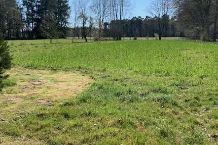 Haus Ladbergen - 6 Zimmer, 155 m&sup2;, 690.000&euro; | Angebot:24224230