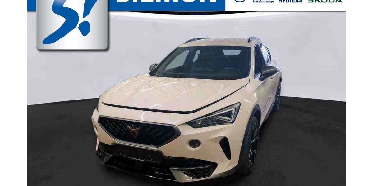 Cupra Formentor 48.924 km 26.930 &euro; Münster 48157