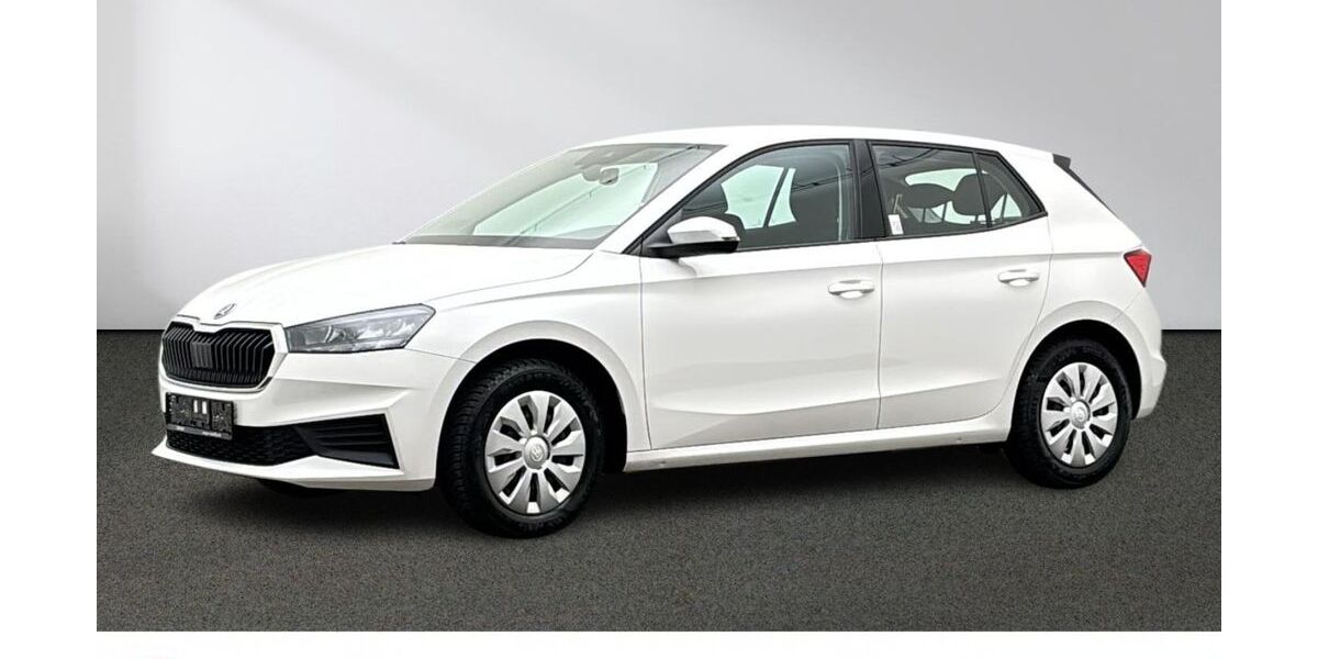 Skoda Fabia 18.160 km 18.880 &euro; Emsdetten 48282