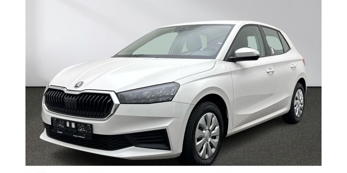 Skoda Fabia 16.572 km 14.880 &euro; Emsdetten 48282