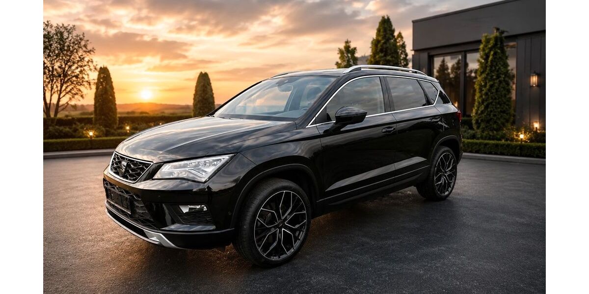 Seat Ateca 172.140 km 16.000 &euro; Münster 48157