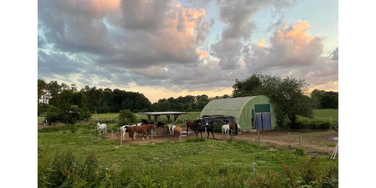 Maisonettenwohnung Rosendahl - 2.5 Zimmer, 150 m&sup2;, 1.350&euro; | Angebot:25868142