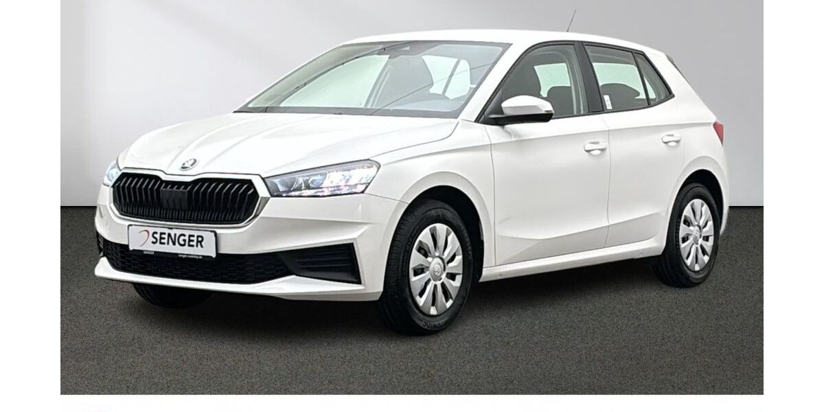 Skoda Fabia 27.980 km 16.980 &euro; Emsdetten 48282