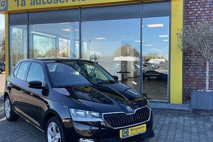 Skoda Fabia 62.869 km 9.490 &euro; Ostbevern 48346