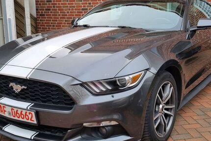 Ford Mustang 216.000 km 12.999 &euro; Ostbevern 48346