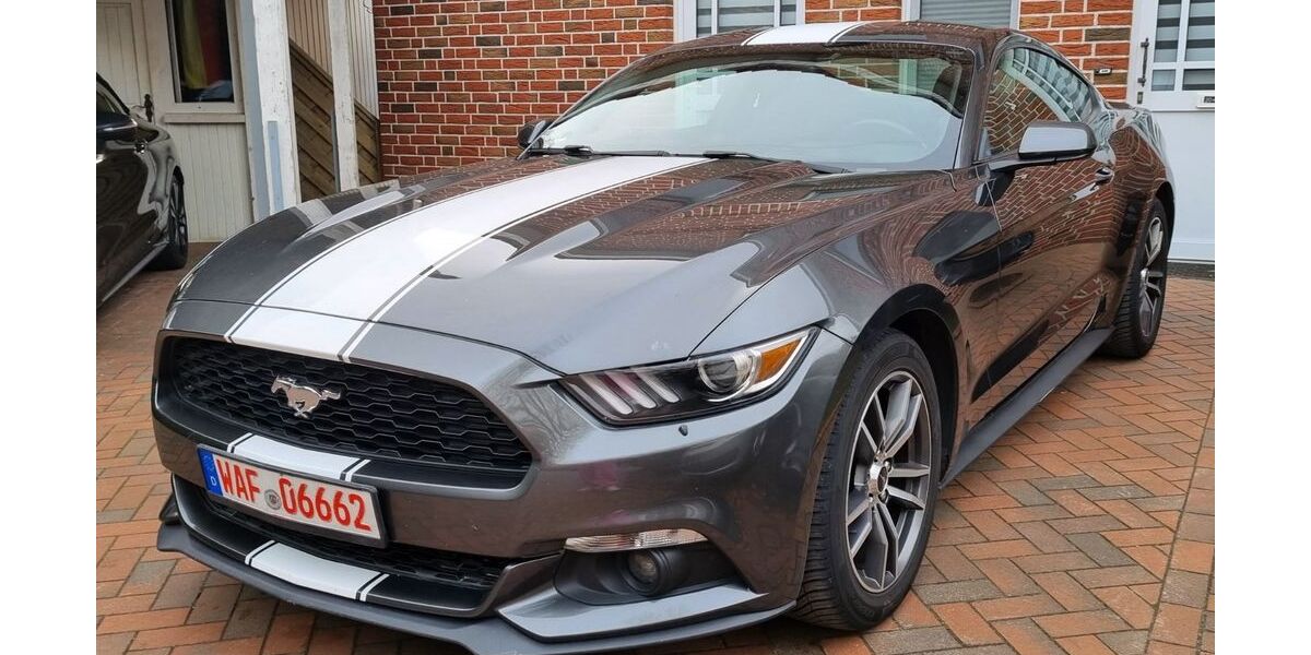 Ford Mustang 216.000 km 12.999 &euro; Ostbevern 48346