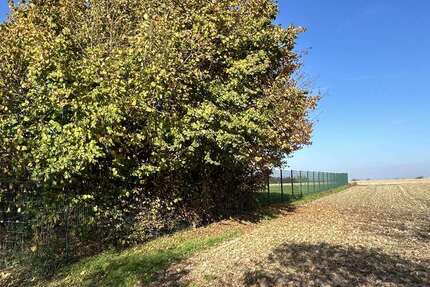 Grundstück Billerbeck - 172.500&euro; | Angebot:24724958