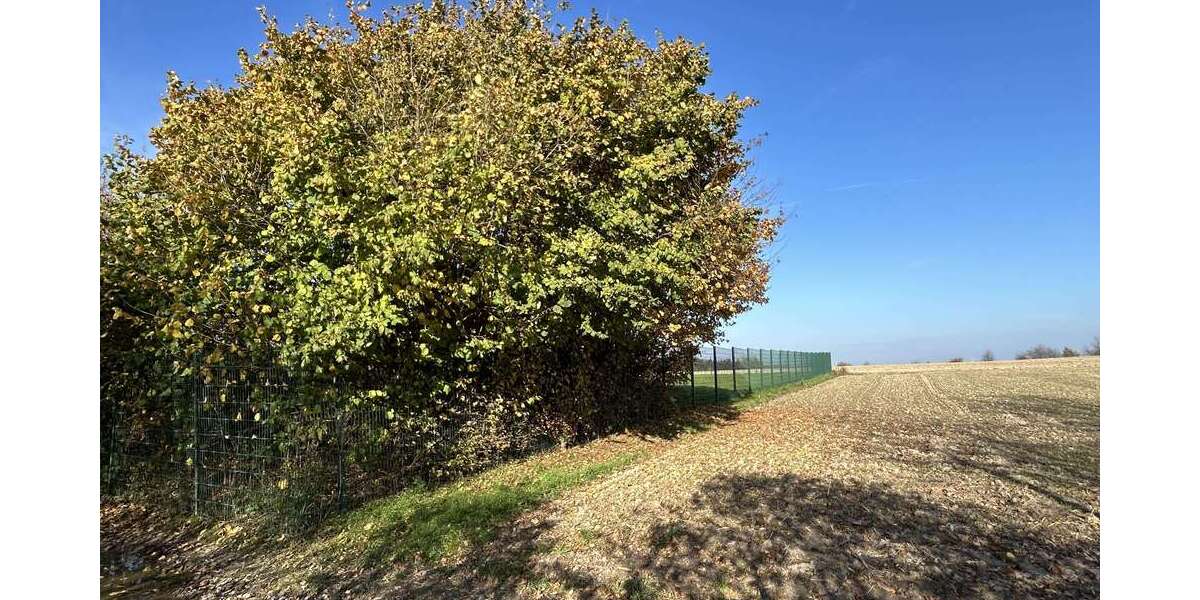 Grundstück Billerbeck - 172.500&euro; | Angebot:24724958