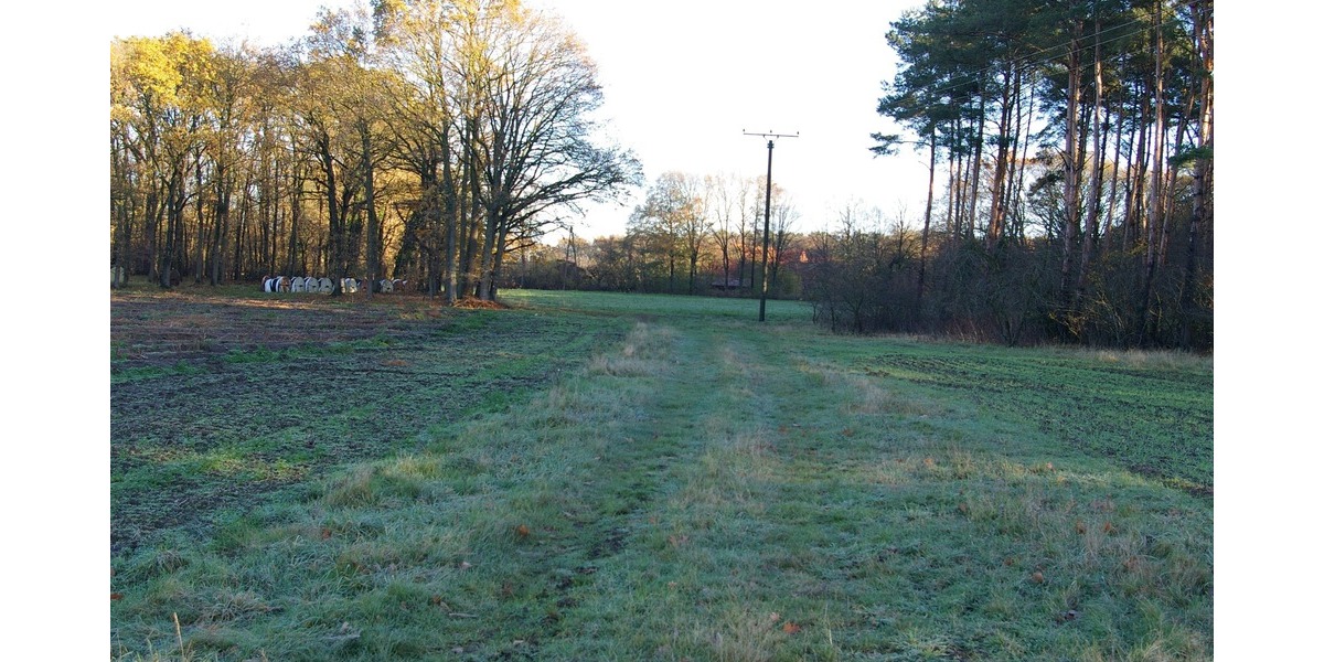 landwirtschaftliche Fläche in Füchtorf - Grundstück Sassenberg Füchtorf | Angebot:24922020