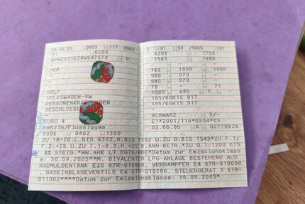 VW Golf Plus 254.850 km 1.234 &euro; Warendorf 48231