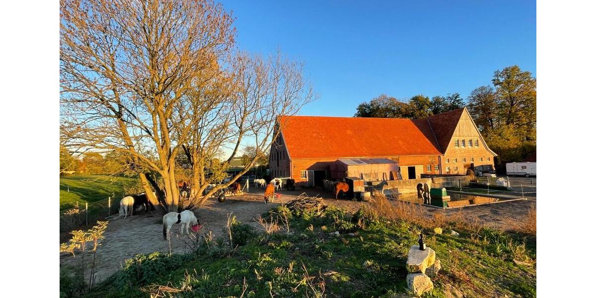 Erdgeschoßwohnung Rosendahl - 2 Zimmer, 55 m&sup2;, 670&euro; | Angebot:25932999