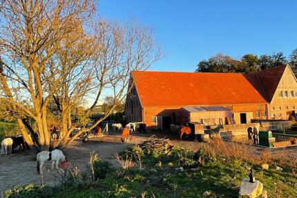 Wohnung Rosendahl - 2 Zimmer, 55 m&sup2;, 670&euro; | Angebot:25932999