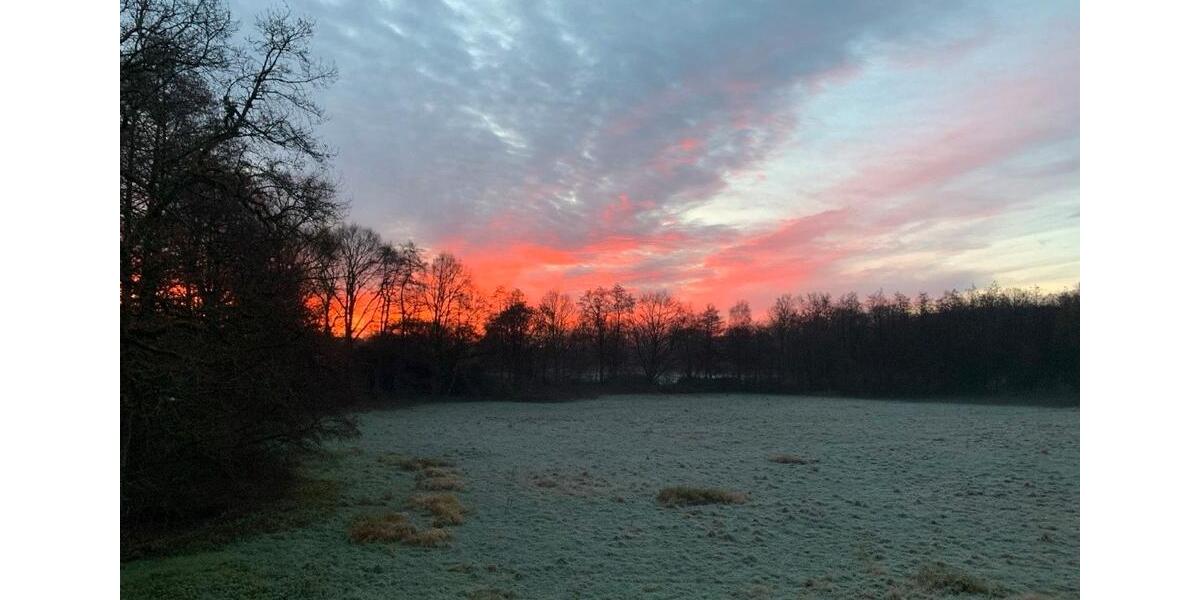 Etagenwohnung Münster Berg Fidel - 1 Zimmer, 21 m&sup2;, 660&euro; | Angebot:25448313